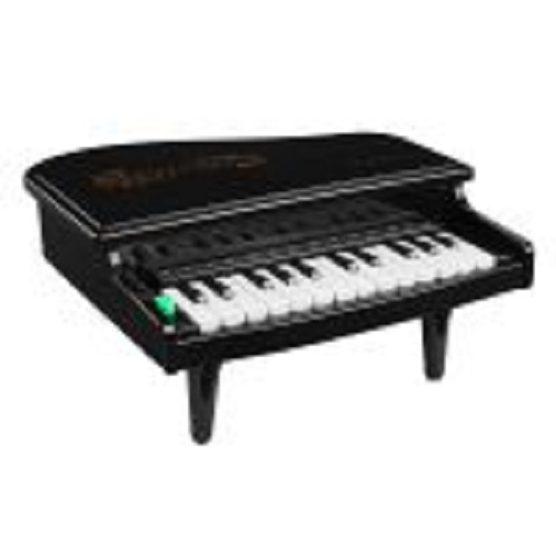 24Keys Toy Piano Music Instrument Sound Light Player Children Educational Gift